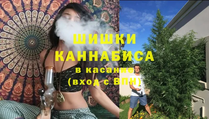 Бошки марихуана SATIVA & INDICA  купить наркоту  Кандалакша 